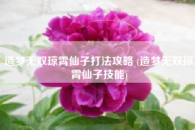 造梦无双琼霄仙子打法攻略 (造梦无双琼霄仙子技能)