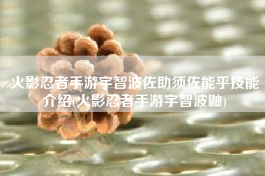火影忍者手游宇智波佐助须佐能乎技能介绍(火影忍者手游宇智波鼬)