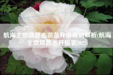 航海王燃烧意志装备升级规则解析(航海王燃烧意志开服表2022)