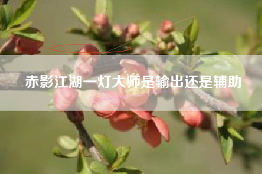 赤影江湖一灯大师是输出还是辅助