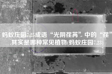 蚂蚁庄园7.25成语“光阴荏苒”中的“荏”,其实是哪种常见植物(蚂蚁庄园7.23)