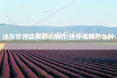 迷你世界盆栽怎么制作(迷你盆栽怎么种)