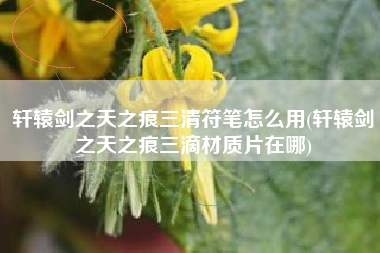 轩辕剑之天之痕三清符笔怎么用(轩辕剑之天之痕三滴材质片在哪)