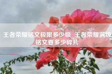 王者荣耀铭文极限多少级_王者荣耀满级铭文要多少碎片