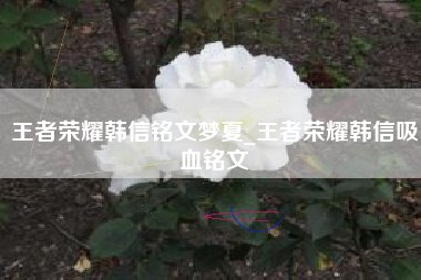 王者荣耀韩信铭文梦夏_王者荣耀韩信吸血铭文
