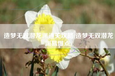 造梦无双潜龙渊通关攻略(造梦无双潜龙渊易爆点)