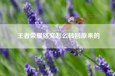 王者荣耀铭文怎么转回原来的