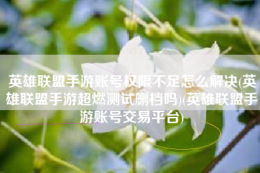 英雄联盟手游账号权限不足怎么解决(英雄联盟手游超燃测试删档吗)(英雄联盟手游账号交易平台)
