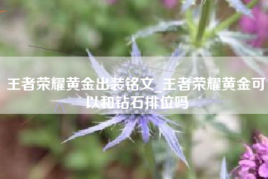 王者荣耀黄金出装铭文_王者荣耀黄金可以和钻石排位吗