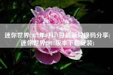 迷你世界2021年9月14日最新兑换码分享(迷你世界2021版本下载安装)