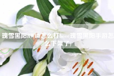 瑰雪黑阳RWBY怎么打boss(瑰雪黑阳手游怎么下架了)