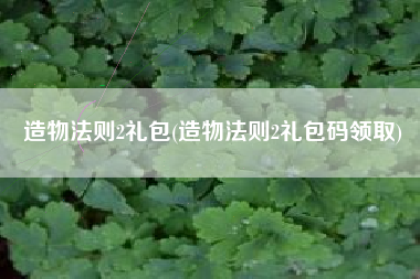 造物法则2礼包(造物法则2礼包码领取)