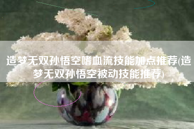 造梦无双孙悟空嗜血流技能加点推荐(造梦无双孙悟空被动技能推荐)