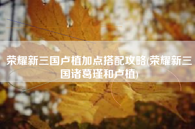荣耀新三国卢植加点搭配攻略(荣耀新三国诸葛瑾和卢植)