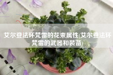 艾尔登法环梵雷的花束属性(艾尔登法环梵雷的武器和装备)