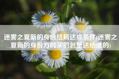 迷雾之夏新的身份结局达成条件(迷雾之夏新的身份方时买的包是送给谁的)