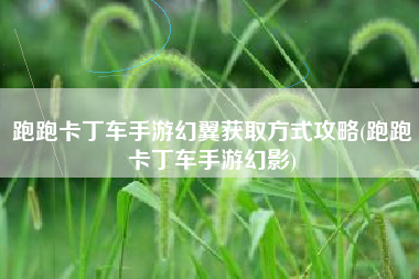 跑跑卡丁车手游幻翼获取方式攻略(跑跑卡丁车手游幻影)
