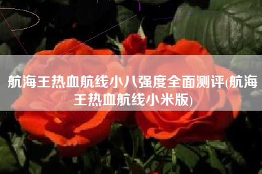 航海王热血航线小八强度全面测评(航海王热血航线小米版)