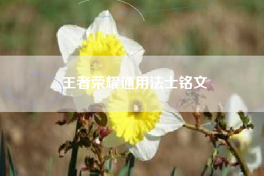 王者荣耀通用法士铭文