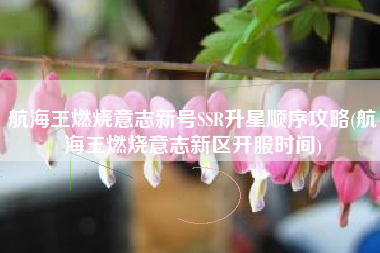 航海王燃烧意志新号SSR升星顺序攻略(航海王燃烧意志新区开服时间)