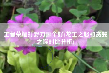 王者荣耀打野刀哪个好(龙王之怒和贪婪之噬对比分析)
