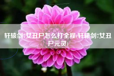 轩辕剑7女丑尸怎么打全程(轩辕剑7女丑尸元灵)