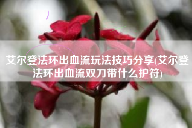 艾尔登法环出血流玩法技巧分享(艾尔登法环出血流双刀带什么护符)