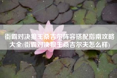 街霸对决狼王桑吉尔阵容搭配指南攻略大全(街霸对决狼王桑吉尔夫怎么样)