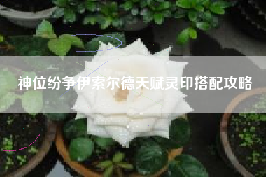 神位纷争伊索尔德天赋灵印搭配攻略