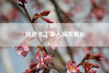 跑跑卡丁车入海龙船长