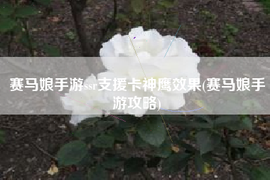赛马娘手游ssr支援卡神鹰效果(赛马娘手游攻略)