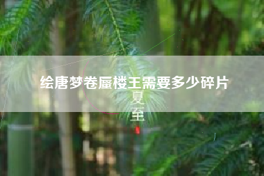 绘唐梦卷蜃楼王需要多少碎片