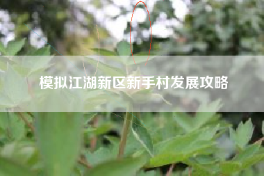 模拟江湖新区新手村发展攻略