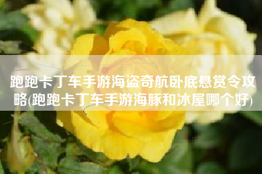 跑跑卡丁车手游海盗奇航卧底悬赏令攻略(跑跑卡丁车手游海豚和冰屋哪个好)