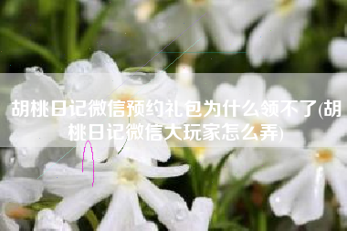 胡桃日记微信预约礼包为什么领不了(胡桃日记微信大玩家怎么弄)