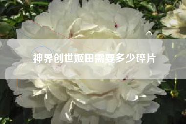 神界创世姬田需要多少碎片