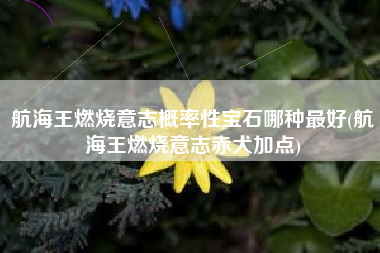 航海王燃烧意志概率性宝石哪种最好(航海王燃烧意志赤犬加点)