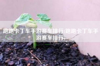 跑跑卡丁车手游赛车排行(跑跑卡丁车手游赛车排行)