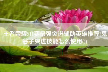 王者荣耀S11赛最强突进辅助英雄推荐(鬼谷子突进技能怎么使用())