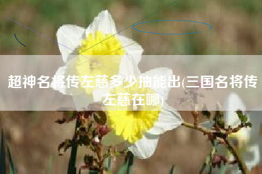 超神名将传左慈多少抽能出(三国名将传左慈在哪)