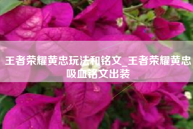 王者荣耀黄忠玩法和铭文_王者荣耀黄忠吸血铭文出装
