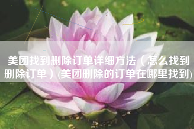美团找到删除订单详细方法（怎么找到删除订单）(美团删除的订单在哪里找到)