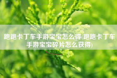 跑跑卡丁车手游宝宝怎么得(跑跑卡丁车手游宝宝碎片怎么获得)