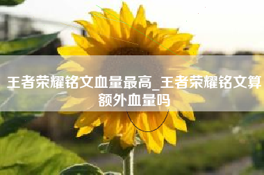 王者荣耀铭文血量最高_王者荣耀铭文算额外血量吗