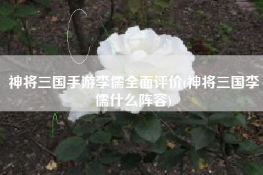 神将三国手游李儒全面评价(神将三国李儒什么阵容)