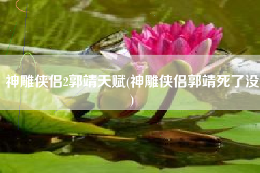 神雕侠侣2郭靖天赋(神雕侠侣郭靖死了没)
