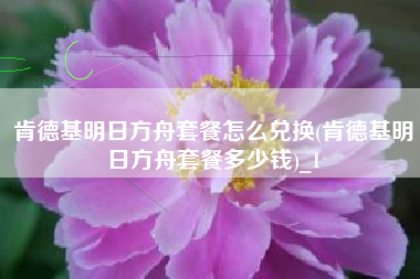 肯德基明日方舟套餐怎么兑换(肯德基明日方舟套餐多少钱)_1