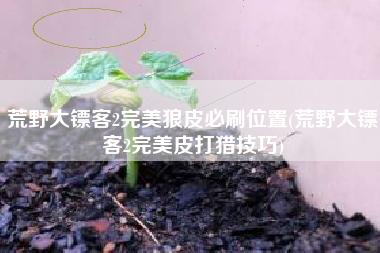 荒野大镖客2完美狼皮必刷位置(荒野大镖客2完美皮打猎技巧)
