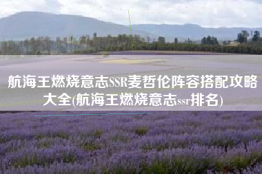 航海王燃烧意志SSR麦哲伦阵容搭配攻略大全(航海王燃烧意志ssr排名)
