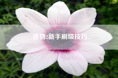 造物2新手刷级技巧